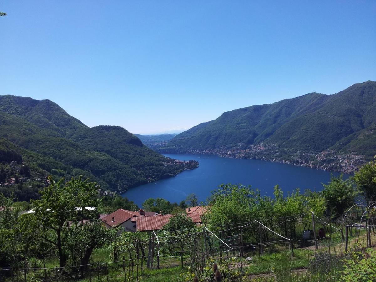 B&B Le Magnolie Faggeto Lario Exteriér fotografie