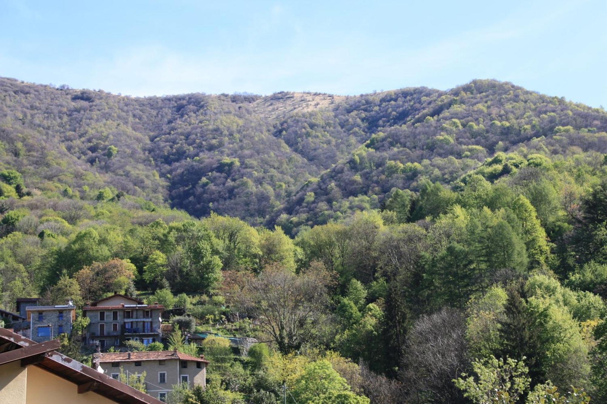B&B Le Magnolie Faggeto Lario Exteriér fotografie